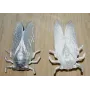 Cigarra 49*31mm Plata mate / Cuentas Metálicas de Latón / Zamak