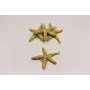 Pieza Estrella de Mar 51*43mm doble anilla Oro  M. / Cuentas Metálicas de Latón / Zamak