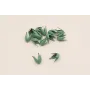 Casquilla 4 pétalos 10*10mm verde Mate / Cuentas Metálicas de Latón / Zamak