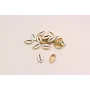 Pieza caracola  pasante 15*9mm Oro Mate y Blanco / Cuentas Metálicas de Latón / Zamak