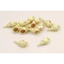 Cuenta Caracola Dorado Mate 14*6mm / Cuentas Metálicas de Latón / Zamak
