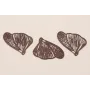 Cuenta Ala Mariposa 32*26 esmalte Marrón / Cuentas Metálicas de Latón / Zamak