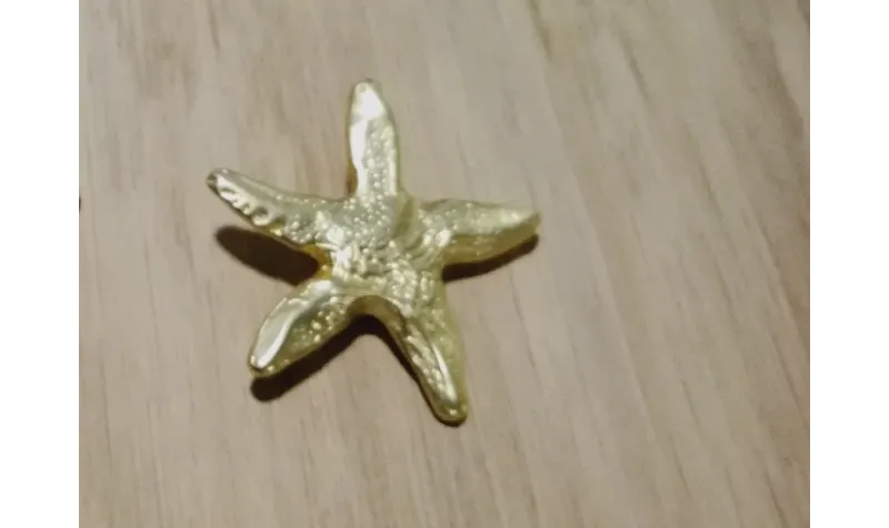 Pieza Estrella Mar con anilla 31mm diam. Oro Mate