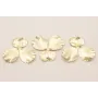 Cuenta Flor 3 Pétalos Oro Mate 40*35mm / Cuentas Metálicas de Latón / Zamak