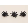 Colgante estrella coral 12*8mm esmalte Azul oscuro / Cuentas Metálicas de Latón / Zamak