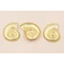 Caracola  con Anilla de 46*35mm Oro Mate / Cuentas Metálicas de Latón / Zamak