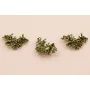 Colgante Coral 32*25mm verde Mate / Cuentas Metálicas de Latón / Zamak