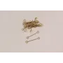 Alfiler Acero Inoxidable 24mm Dorado / Alfileres de Acero Inoxidable