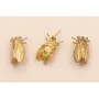 Broche escarabajo 30*17mm latón pulido / Broches de Latón / Zamak