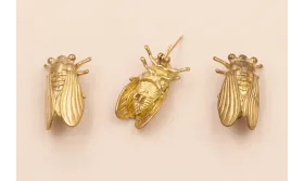 Broche escarabajo 30*17mm latón pulido / Broches de Latón / Zamak