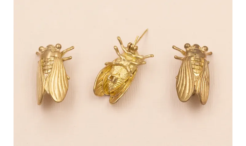 Broche escarabajo 30*17mm latón pulido / Broches de Latón / Zamak