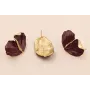 Pendiente 2 hojas 38*23mm Granate Mate doble perno / Base Pendientes 