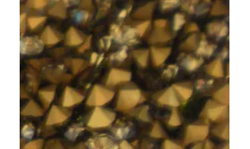 SIMIL SWAROVSKY SS22 SMOKE TOPAZ. ccc167-10