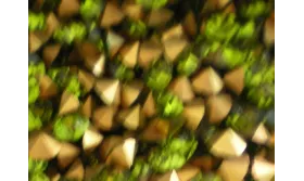 SIMIL SWAROVSKY SS22 OLIVINE. ccc167-11