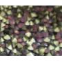 Strass Swarovski pp31 Cyclamen Opal. ccc401-2