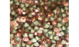 Strass Swarovski SS39 Rose Peach. ccc404-4