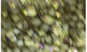 Strass Swarovski SS39 Lum Green. ccc404-5