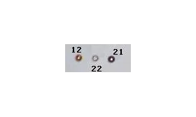 BOLA LATON GALONADA 3MM PLATA VIEJA / Cuentas Metálicas de Latón / Zamak