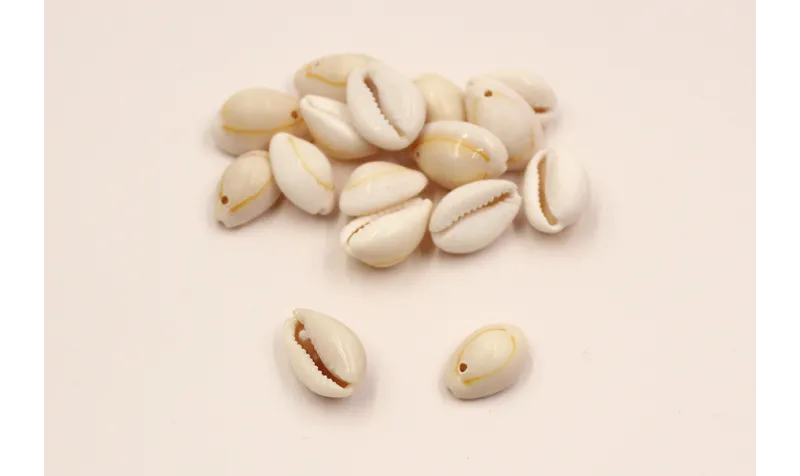 concha 16mm