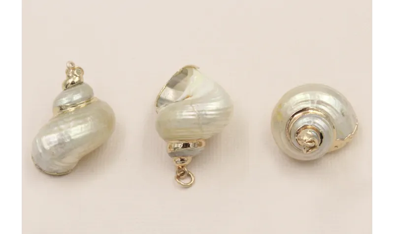 Concha bordes metal Dorado 25*25mm /Cuentas de  Nacar
