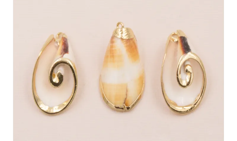 Caracola Blanca 36*23mm bordes dorados