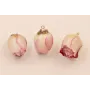 Colgante Flor Natural 20*15mm Rosa y Blanca /Cuentas de  Nacar