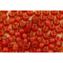 10 gramos de Abalorio cristal 4mm Rojo Fluor / Abalorio pulseras y Collares