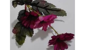 Ramilete Margaritas 4 a 5cms diámetro Morado / Complementos de Pelo