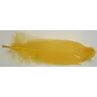 Pluma 18cms  Amarilla / Cuentas y Plumas