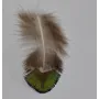 Pluma cola verde 60mm / Cuentas y Plumas