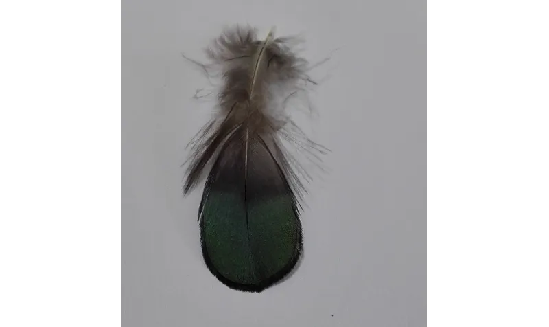 Pluma cola tornasol 80mm / Cuentas y Plumas