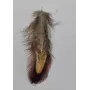 Pluma vetas marrones 60mm / Cuentas y Plumas