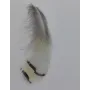 Pluma blanca rayada 80mm / Cuentas y Plumas