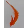 Pluma teñida Naranja 100-130mm / Cuentas y Plumas