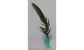 Pluma Aturquesada 100-130mm / Cuentas y Plumas
