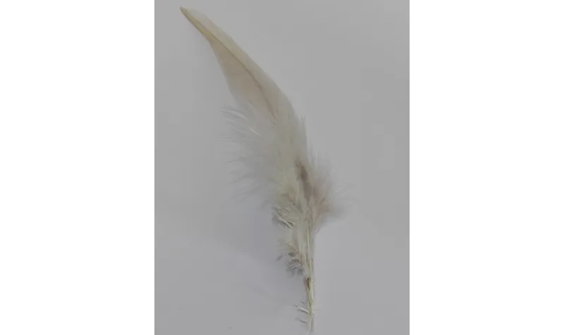 Pluma teñida Beige 100-130mm / Cuentas y Plumas