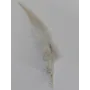 Pluma teñida Beige 100-130mm / Cuentas y Plumas