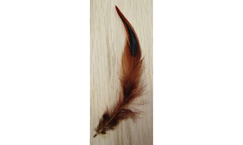 Pluma teñida Marrón 100-130mm / Cuentas y Plumas