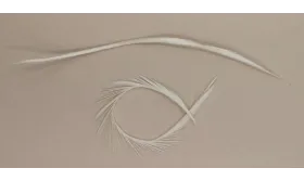 Pluma Rígida 170mm Longitud / Cuentas y Plumas