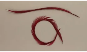 Pluma Rígida 170mm Longitud Granate / Cuentas y Plumas