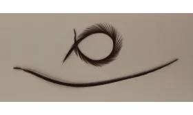 Pluma Rígida 170mm Longitud Marrón / Cuentas y Plumas