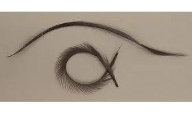 Pluma Rígida 170mm Longitud Gris / Cuentas y Plumas