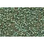 8grs Delika BD Matt MTLC Leaf Green / Delicas de 