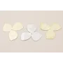 trébol Plata y Oro 35mm diámetro / Cuentas y Lentejuelas