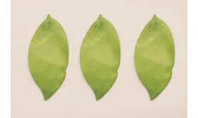 Hoja verde 40*20mm / Cuentas y Lentejuelas