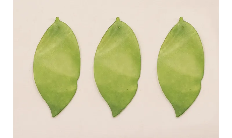 Hoja verde 40*20mm