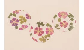 Lentejuela Disco 50mm con Flor Natural Granates / Cuentas y Lentejuelas