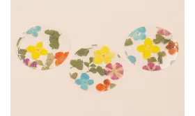 Lentejuela Disco 50mm con Flores Naturales Mezcla / Cuentas y Lentejuelas