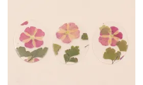 Lentejuela Ovalo 40*28 Flores Naturales Granates / Cuentas y Lentejuelas