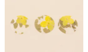 Lentejuela Disco 28mm con Flor Natural Amarillas  / Cuentas y Lentejuelas